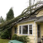 wind damage to roof