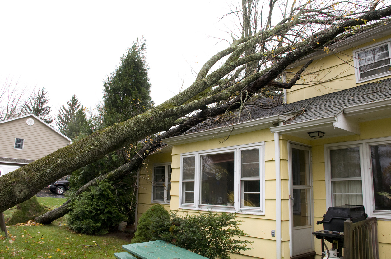 wind damage to roof